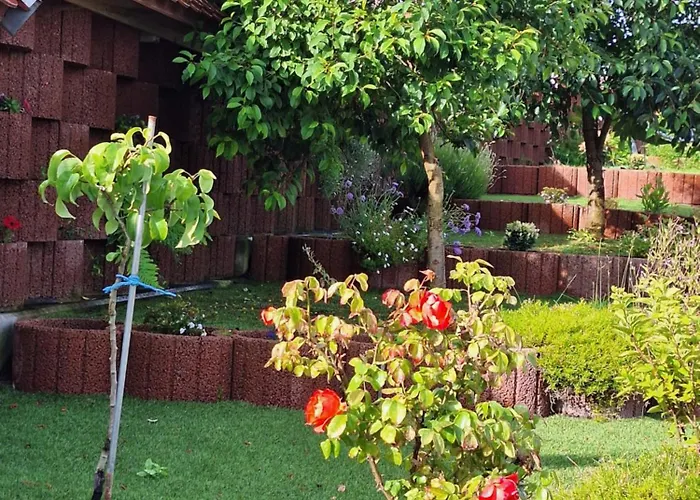 Διαμέρισμα Idylle Thale